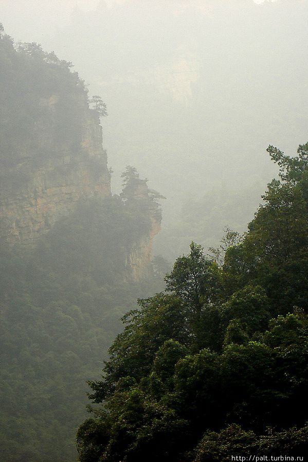 Из дымки выплывает скала Павлин Чжанцзяцзе Национальный Лесной Парк (Парк Аватар), Китай