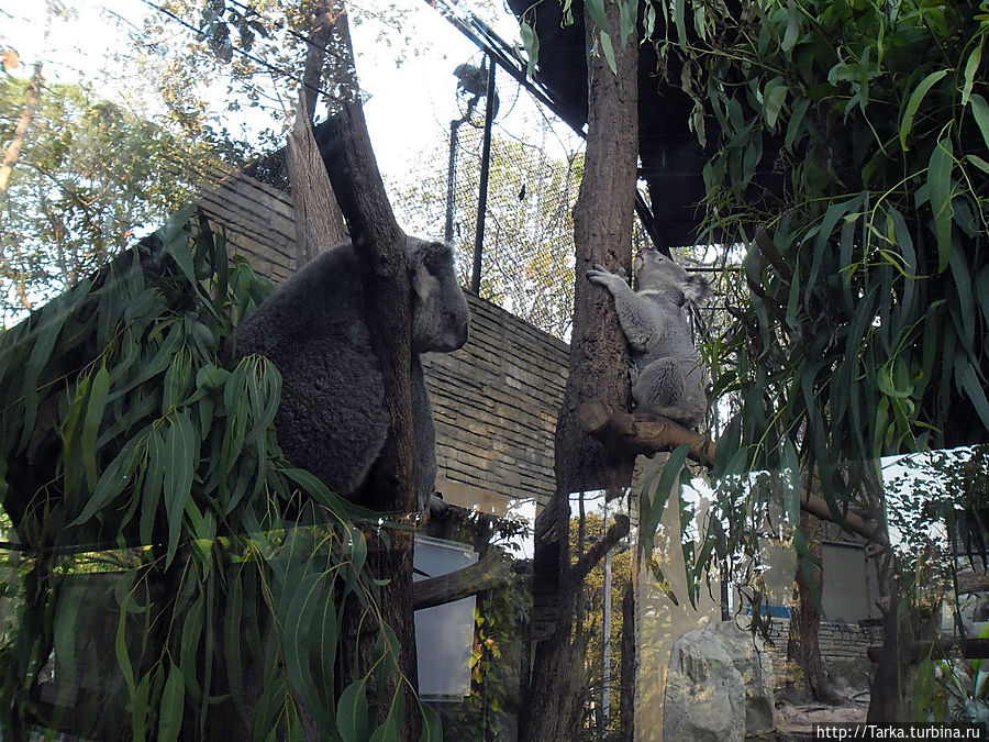 Чиангмай Чиангмай, Таиланд