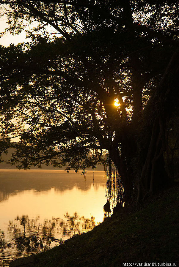 Пруд вокруг Анкор Вата