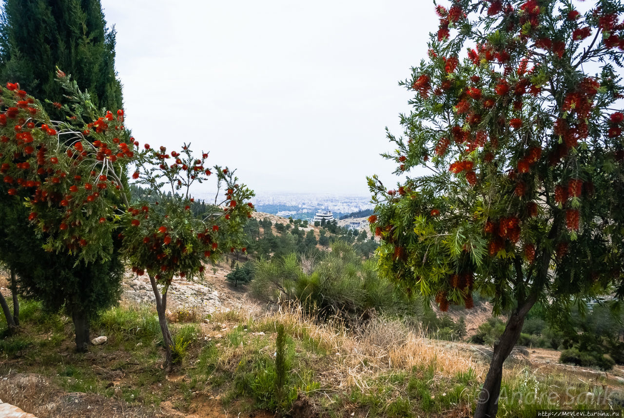 Панорамы Шираза Шираз, Иран