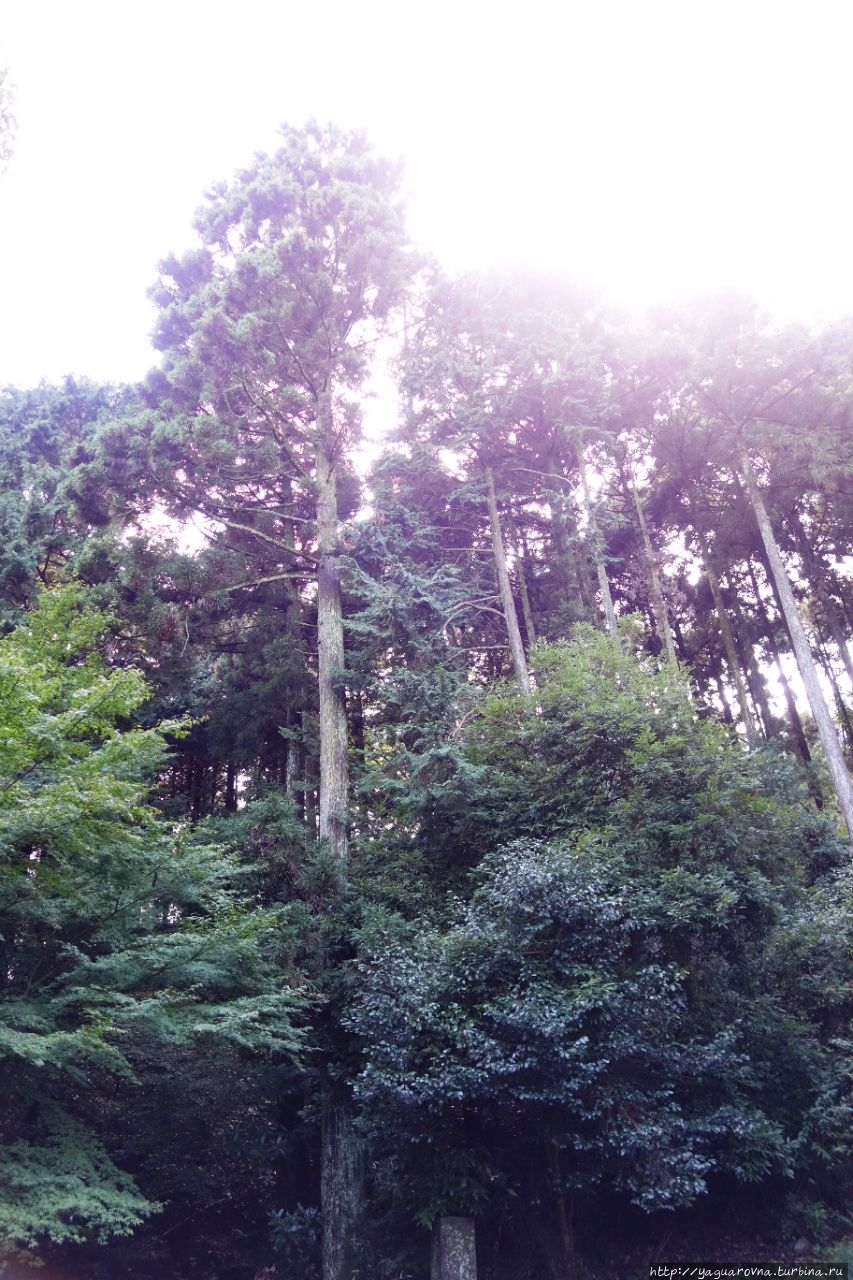 Застава самураев Hakone Sekisho Хаконэ, Япония