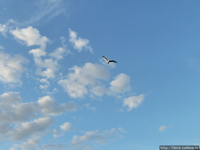 Царица озер Ювяскюля, Финляндия