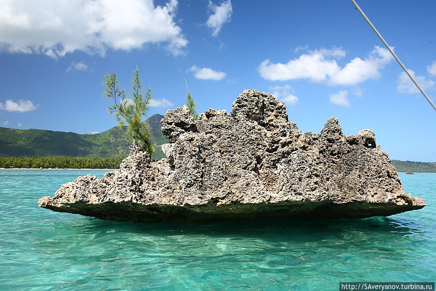 Кристалл рок, Хрустальная скала Блю-Бей, Маврикий