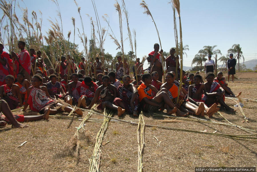 Умхланга. День VI. Возложение тростника Лобамба, Свазиленд