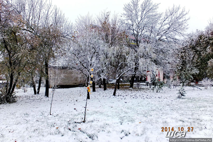Зимняя рапсодия в Ессентуках Ессентуки, Россия
