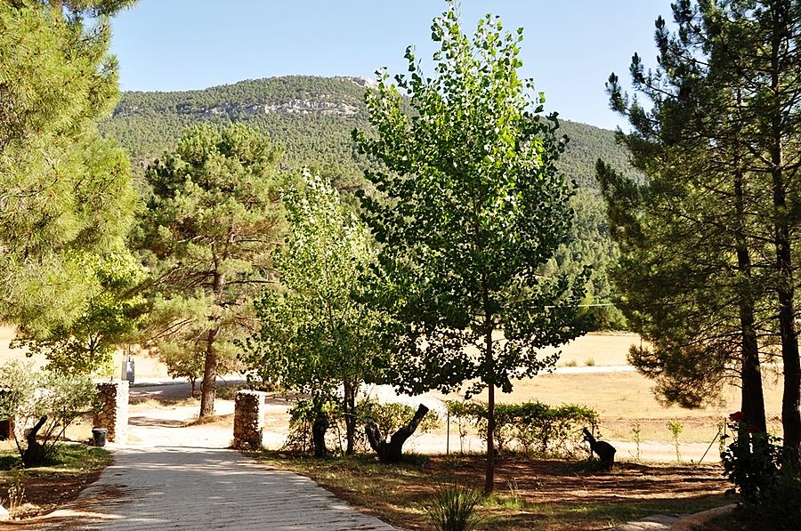 Cortijo Puente Faco Риопар, Испания