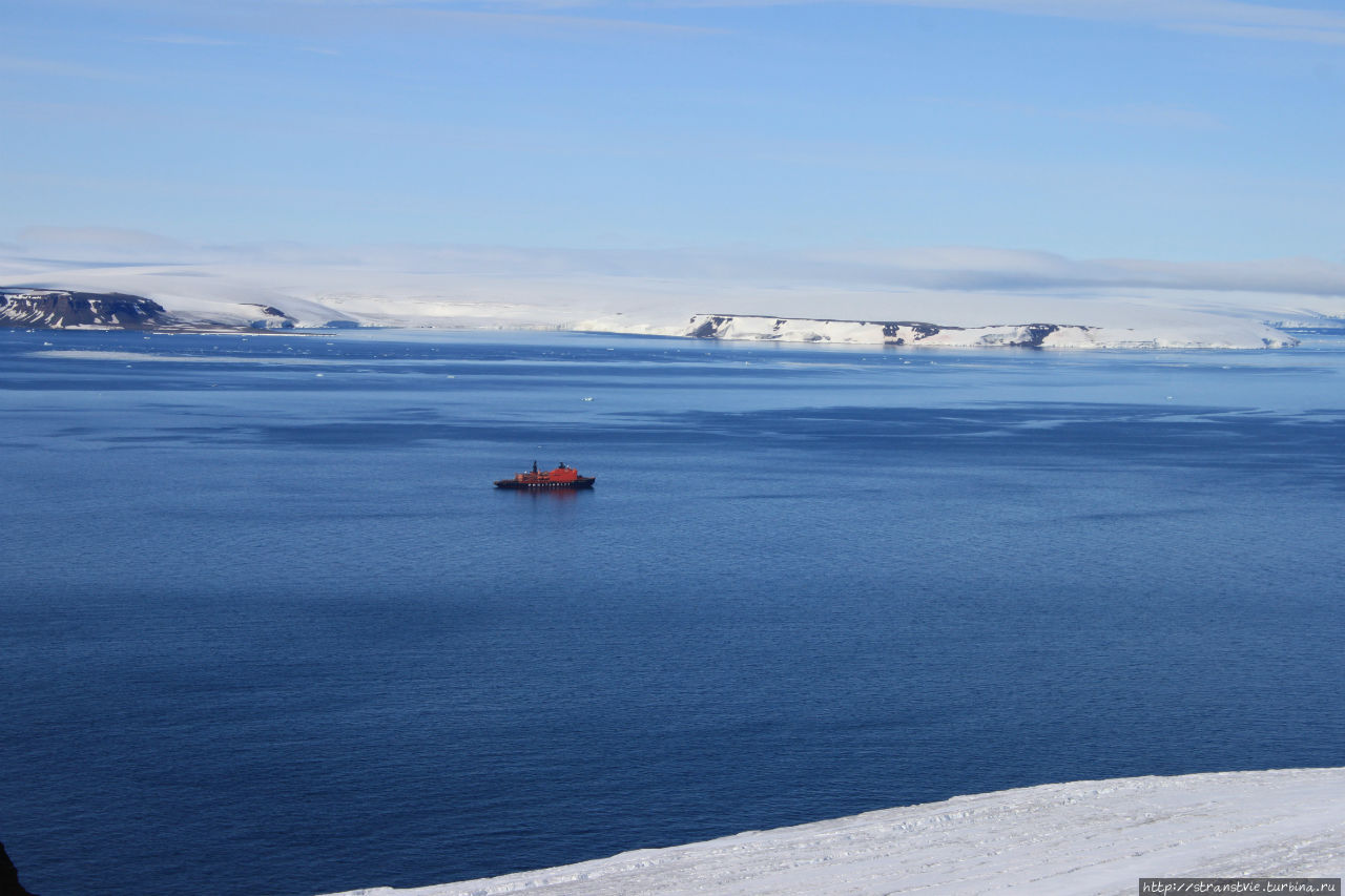 На Северный полюс на атомном ледоколе 