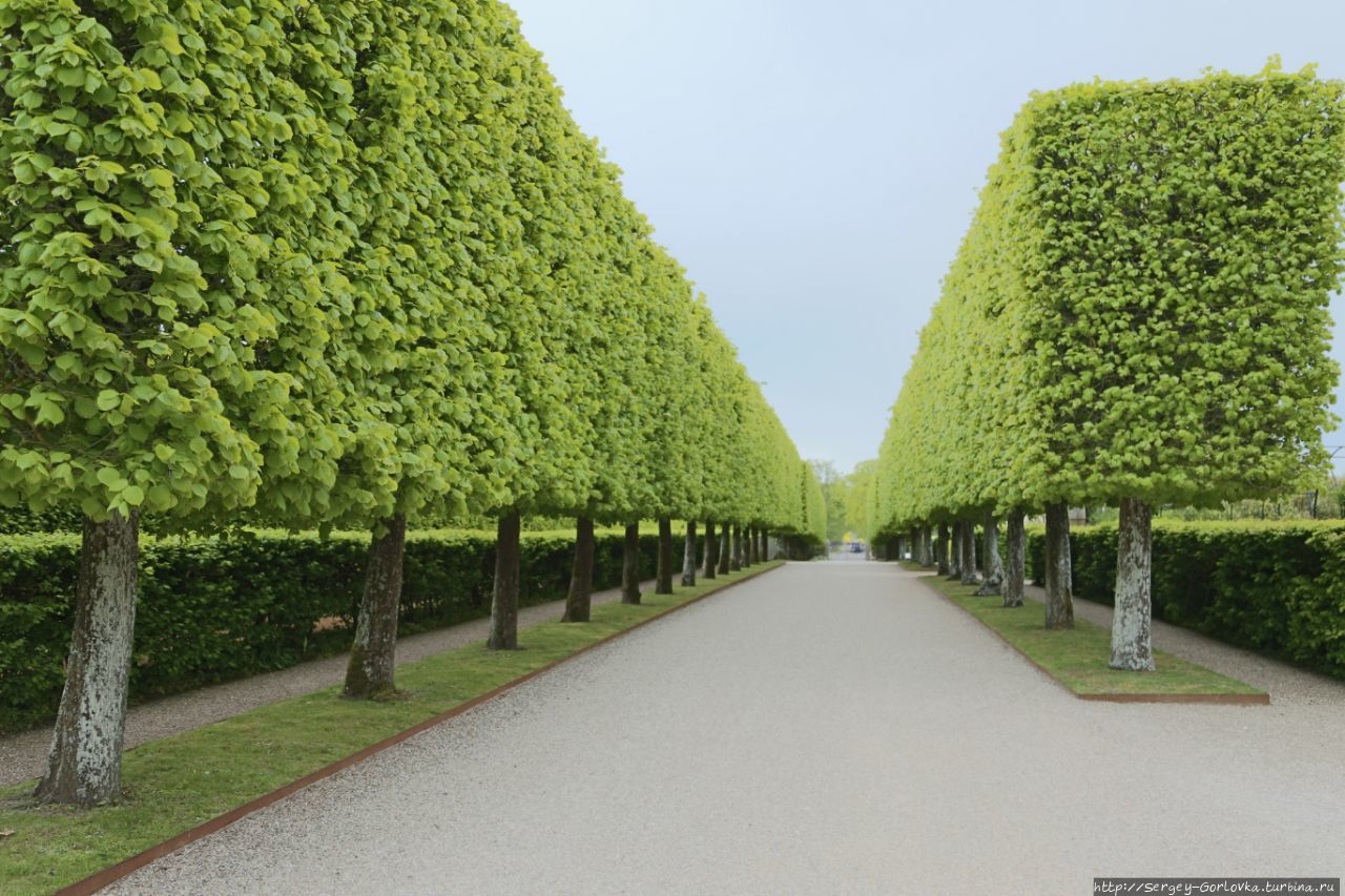 Замок Эгесков Оденсе, Дания Замок Эгесков Оденсе, Дания