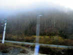 Туман спустился с гор прямо к железнодорожной насыпи.