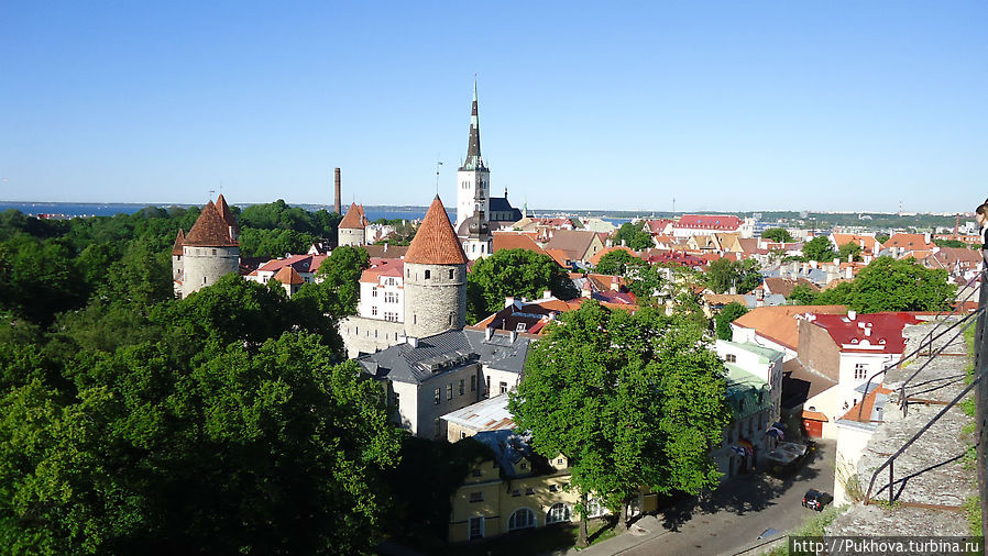 панорама Таллинна с Вышгорода Таллин, Эстония