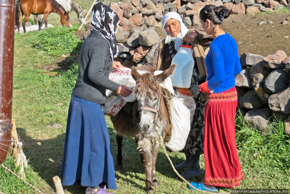 Современные кочевники-курды на склонах Арарата Гора Арарат (5137м), Турция