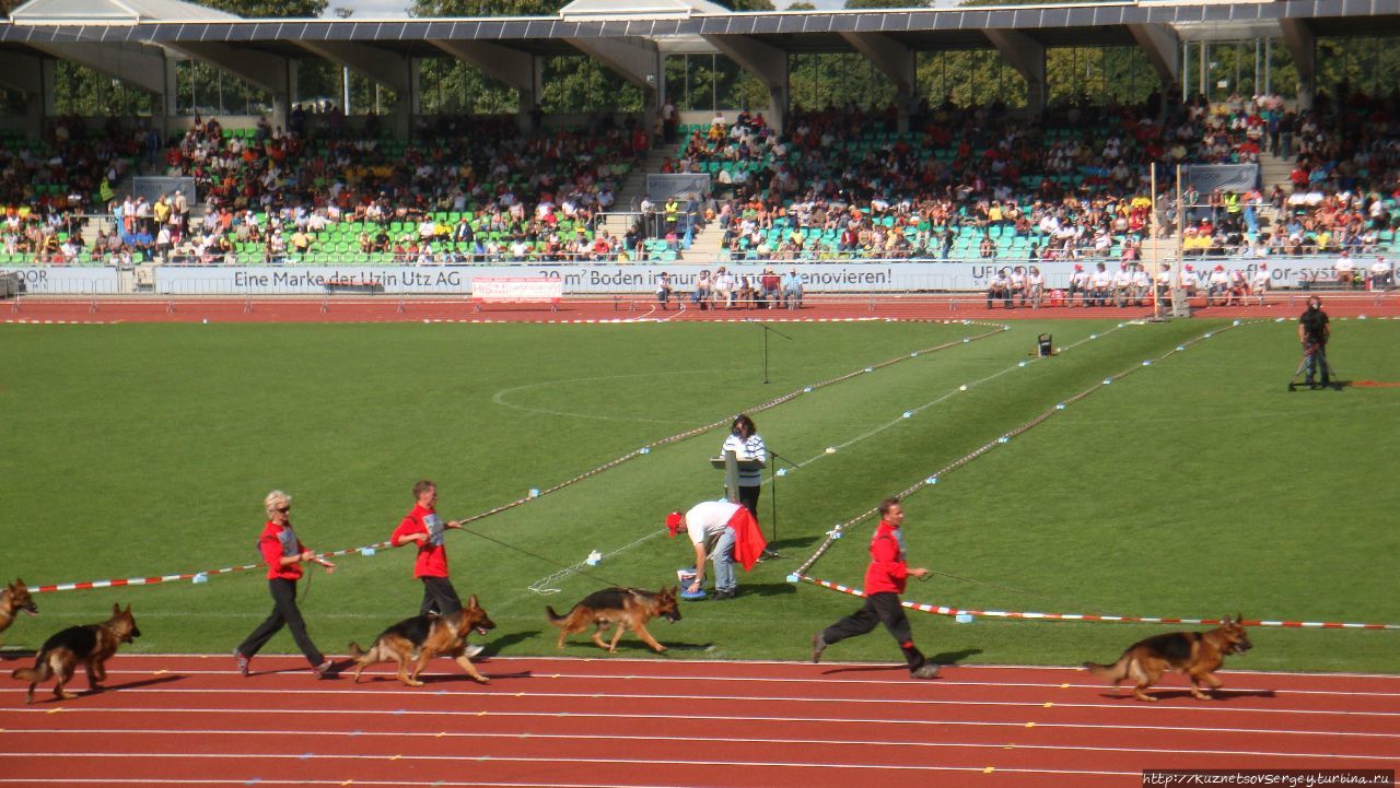 Зигер в Ульме Ульм, Германия
