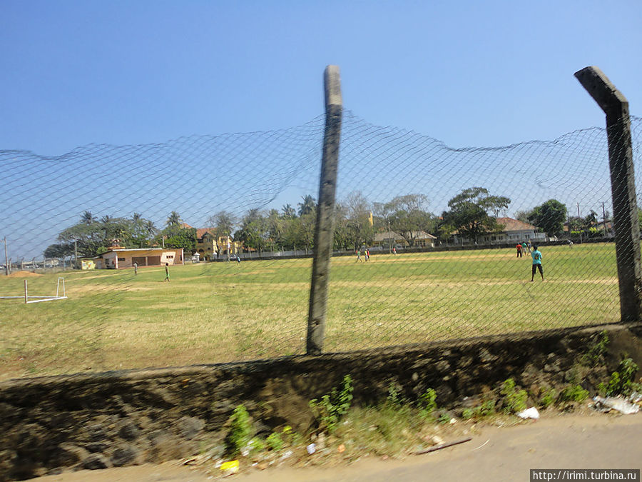 Любовь к игре в крикет досталась шри-ланкийцам от англичан. Поля для крикета встречаются довольно часто Шри-Ланка