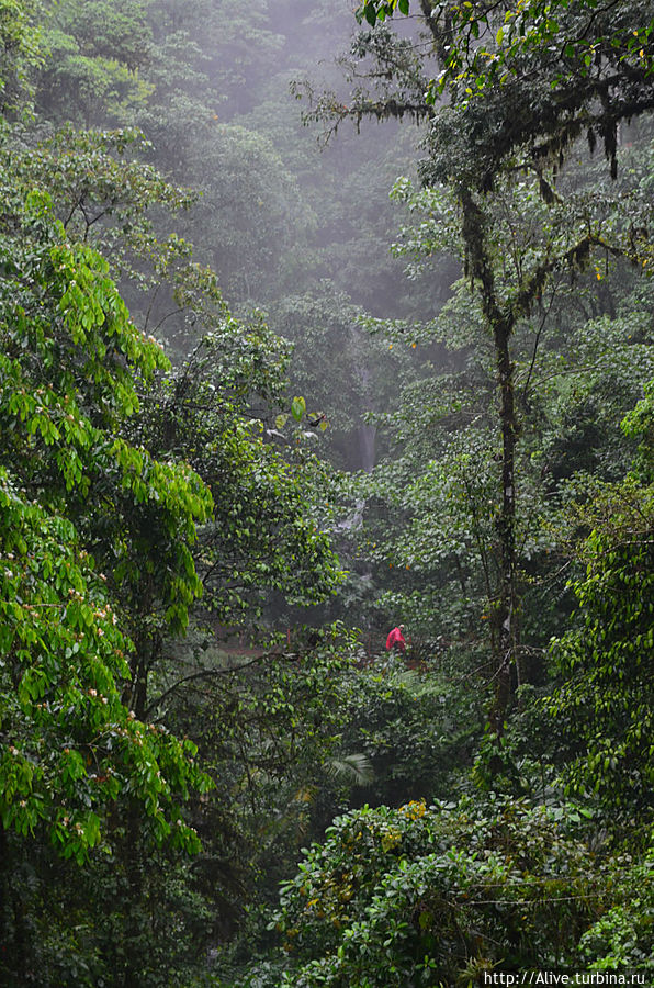 соотношение джунглей и человека Аренал, Коста-Рика