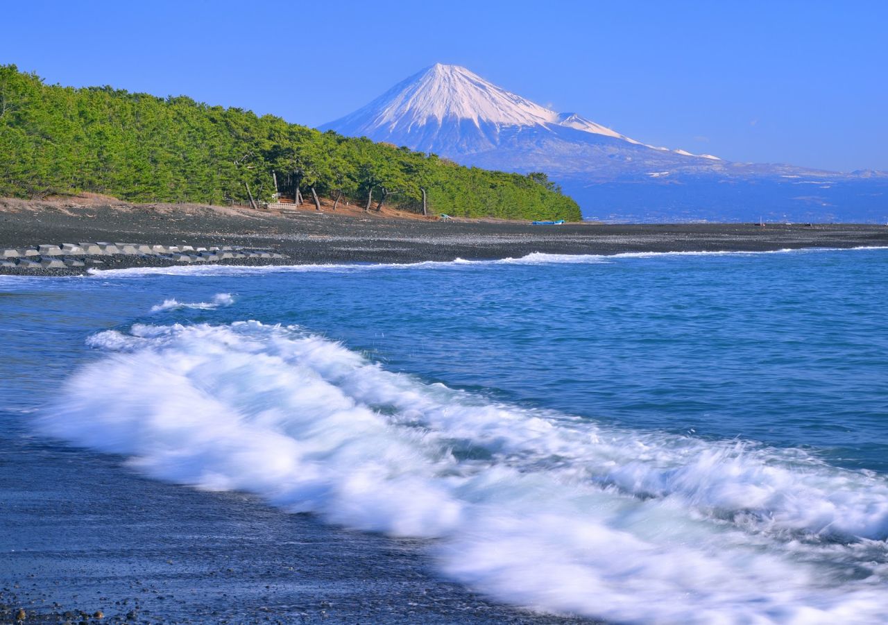 Сосновый бор Михо / Miho no Matsubara pine tree grove