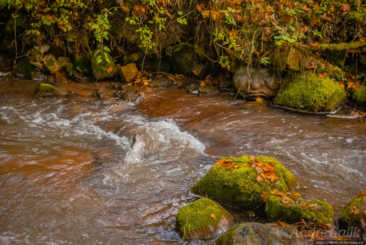 Тропа вокруг МЕЛЬНИЦЫ ИЕРИКИ Цесис, Латвия