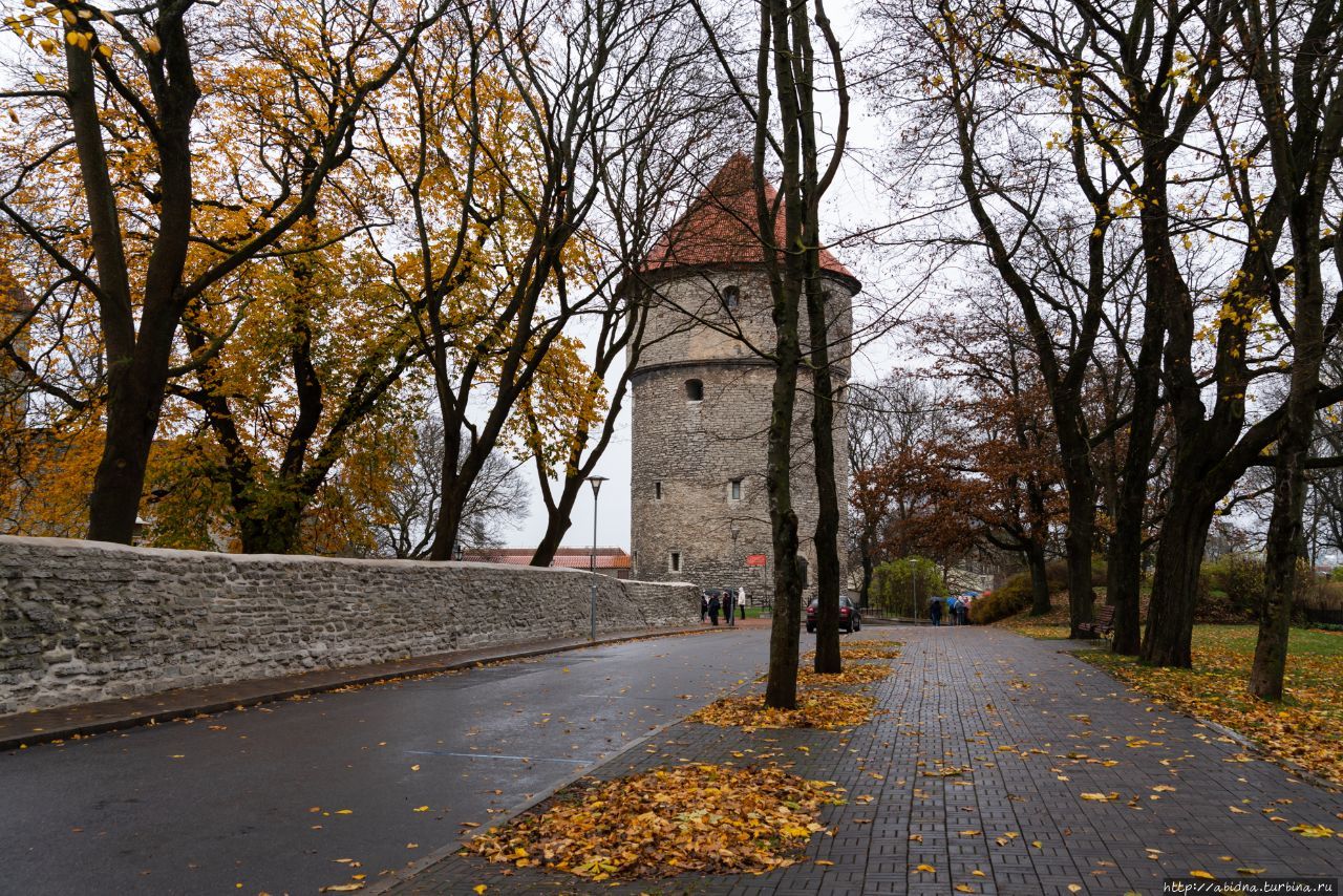 Таллин октябрь. Таллин осенью. Эстония таллин осень. Эстония вики. Таллин осенью.