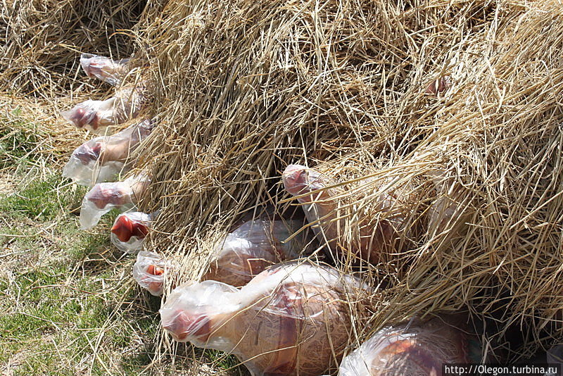 Сушка керамических изделий