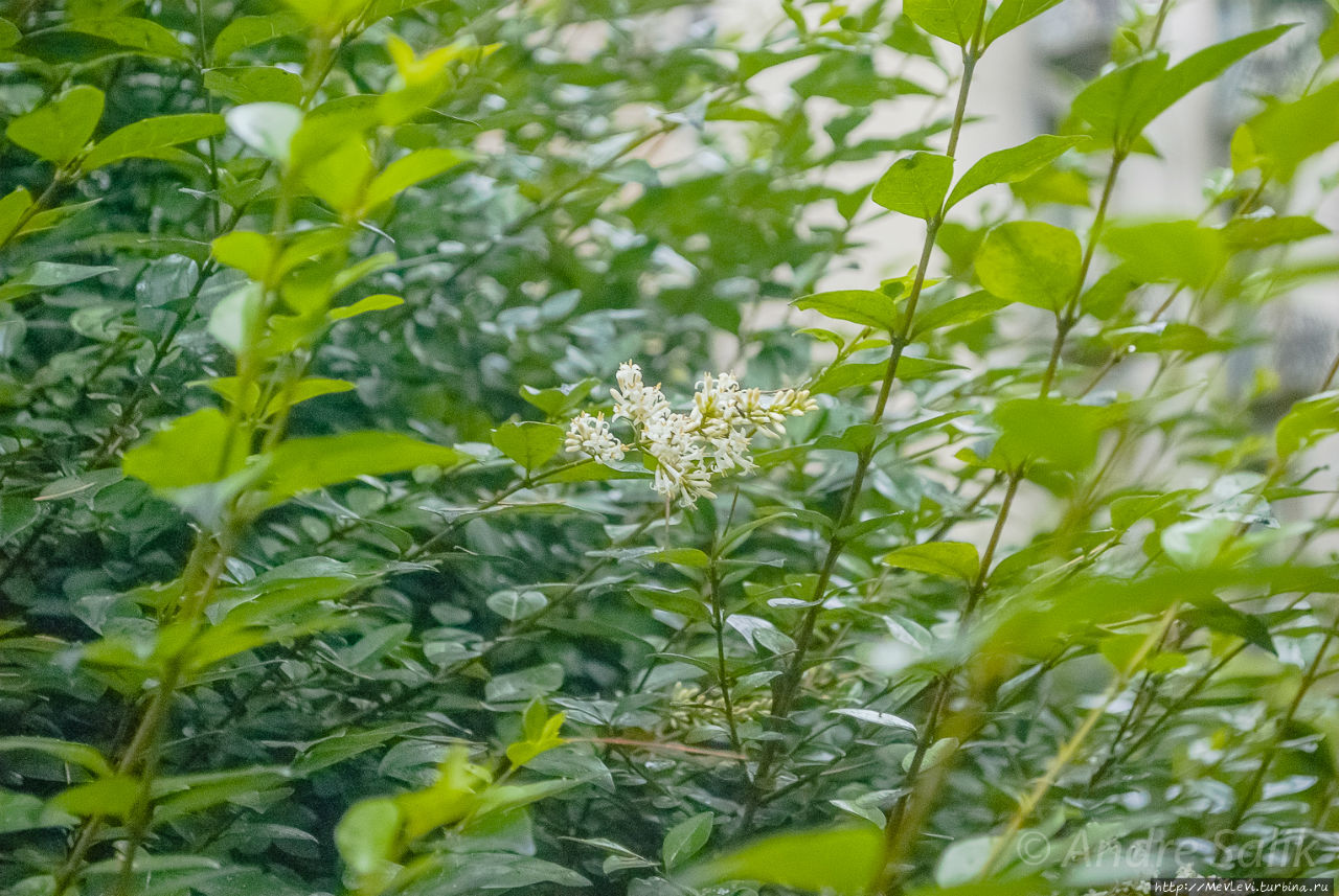 Нарядная вилла первого владельца «Альфа Ромео» Николо Ромео Милан, Италия