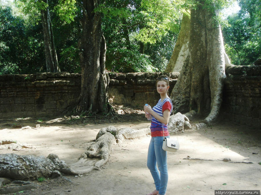 9. Прогулка в тени гигантов обещает быть приятной, не смотря на жару. Ангкор (столица государства кхмеров), Камбоджа