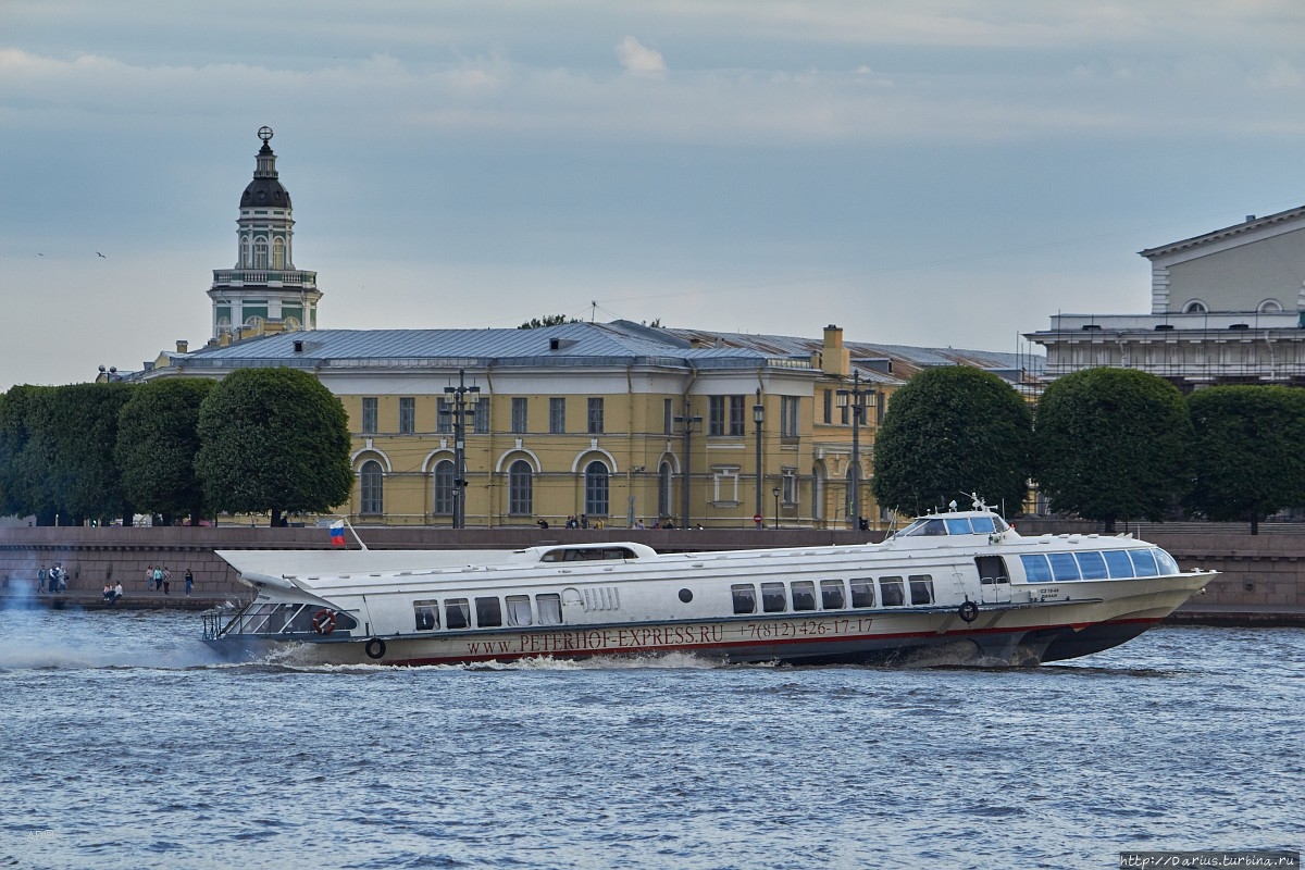 Санкт-Петербург 2019-06-13 Санкт-Петербург, Россия