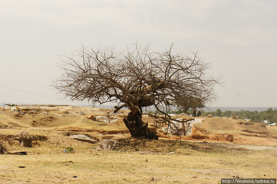 Танзания. Продолжение Танзания