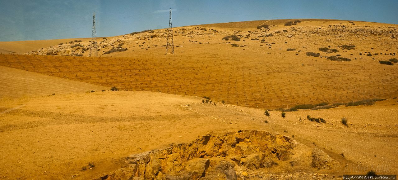 Трудолюбивая земля Марокко