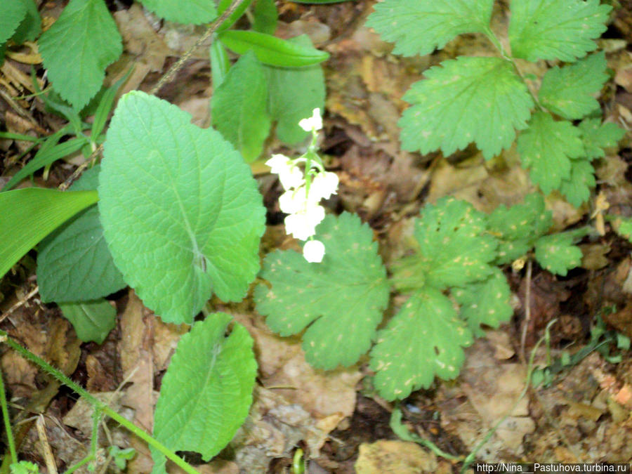 Последний день весны Оренбургская область, Россия