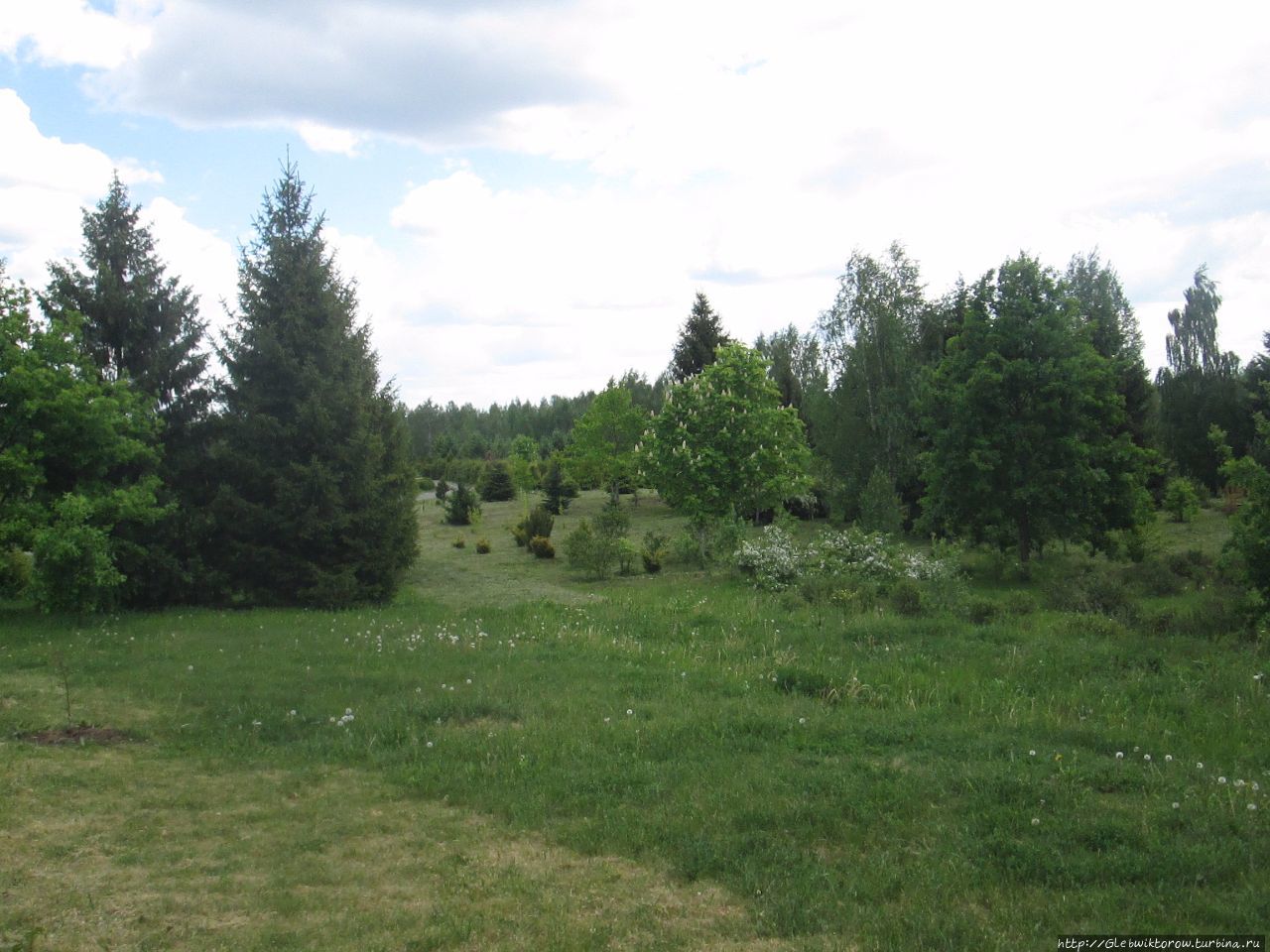 Прогулка в Дендрологический сад Нарочанского парка Мядель, Беларусь