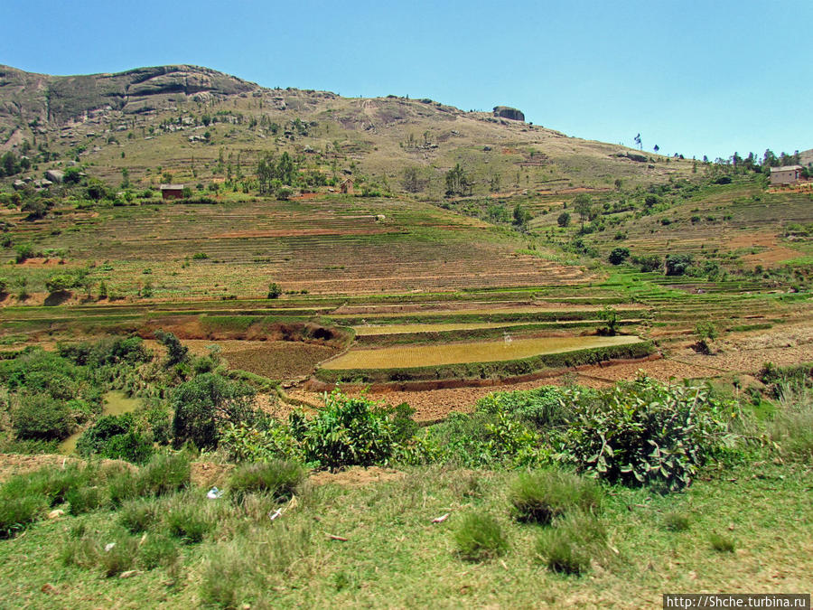 Мадагаскарские картинки. Переезд из Антцирабе в Амбоситра Провинция Фианаранцуа, Мадагаскар