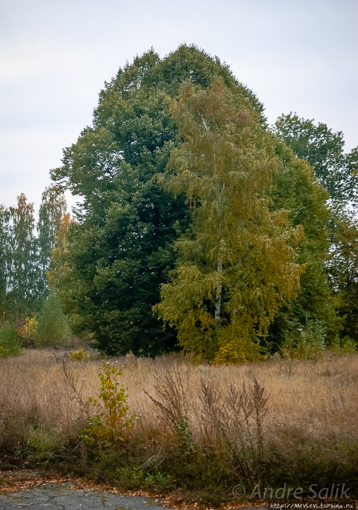 Красивая осень!!! Рига, Латвия