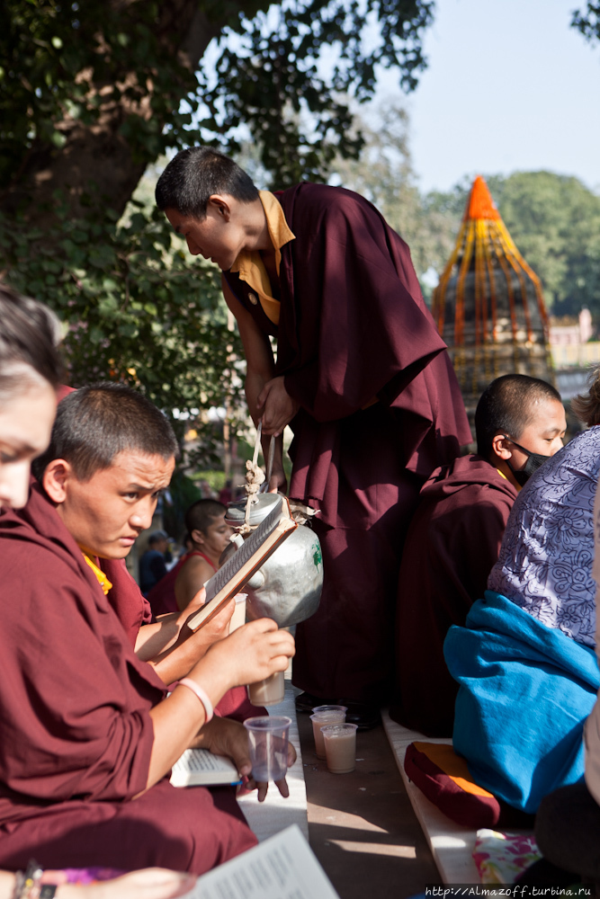 Инди Го Трип, 4 дня в Бодгайя, месте Просветления Будды. Бодх-Гая, Индия