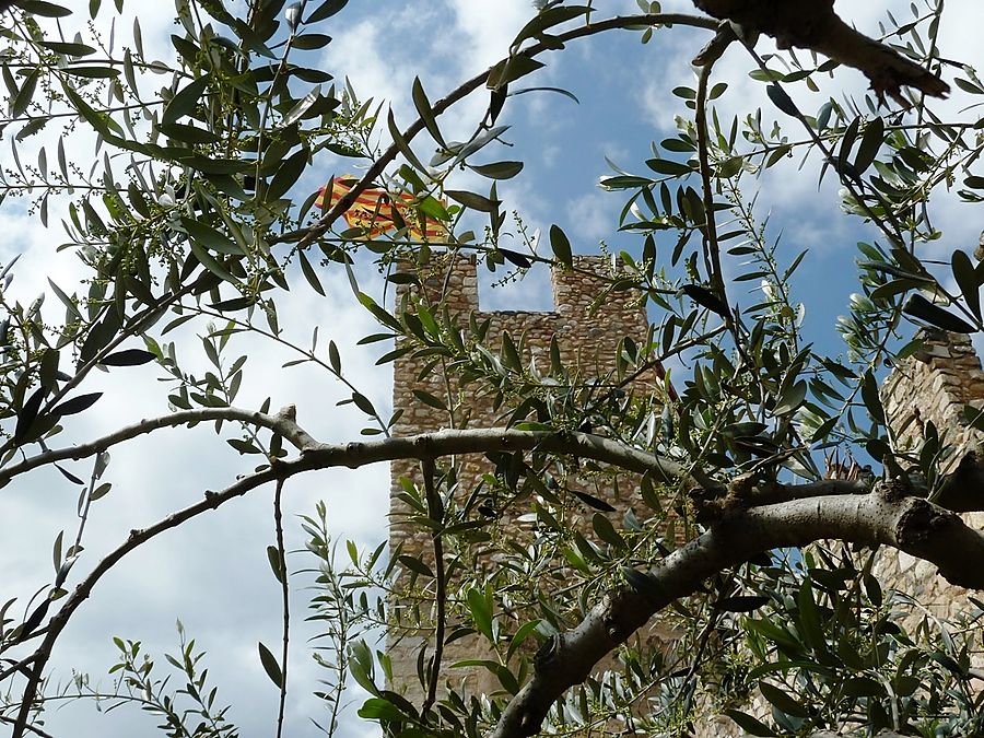 Башня сквозь листву Монблан, Испания