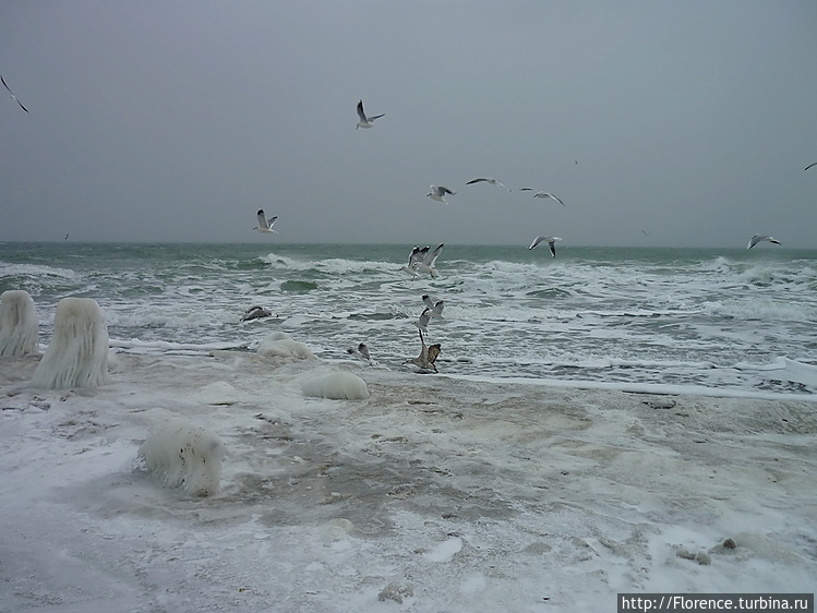 Февраль. Одесса