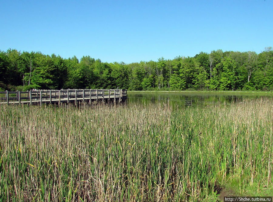 Озеро в парке North Chagrin Reservation под Кливлендом Мейфилд Хайтс, CША