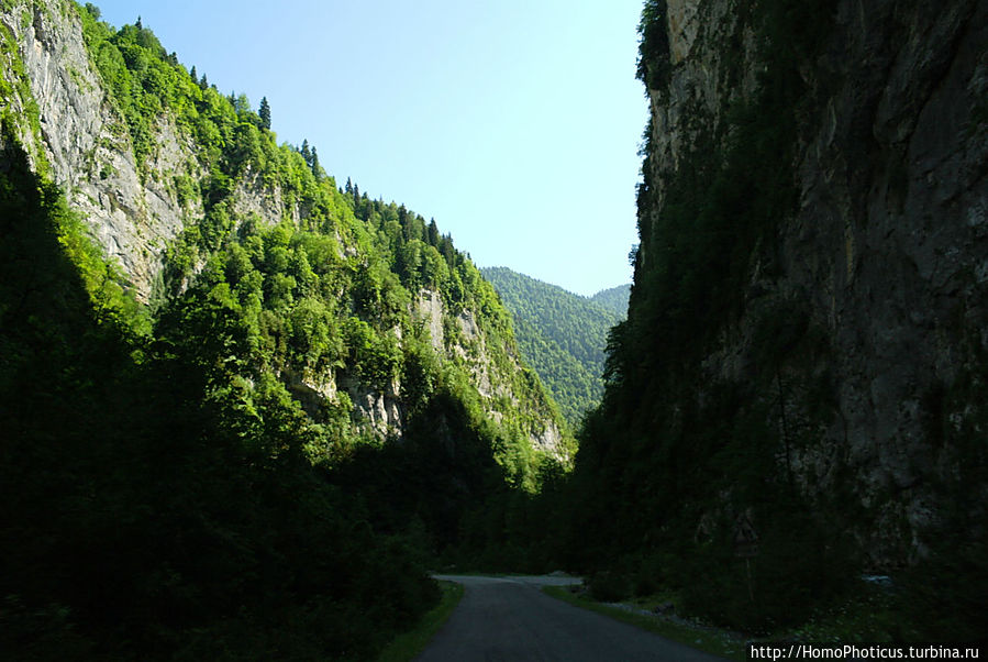 Рица в серебре и зелени Рица Реликтовый Национальный Парк, Абхазия