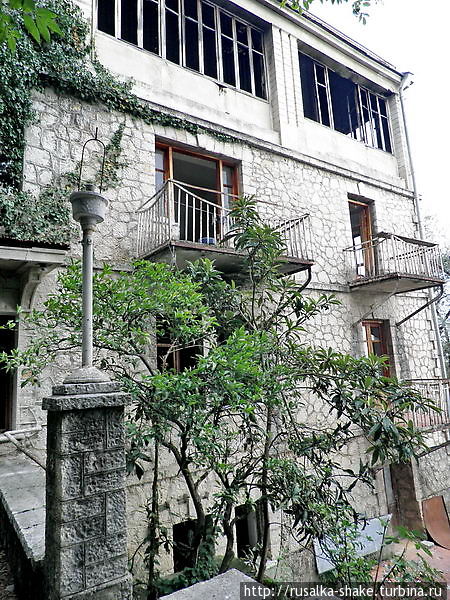Этюд в серо-зеленых тонах Гагра, Абхазия