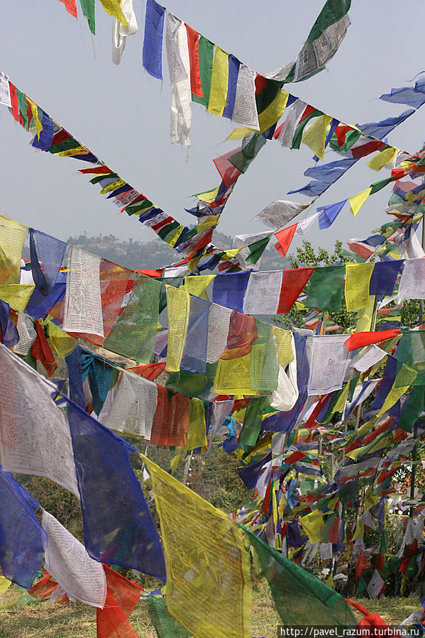 молитвенный флажки лунг-та