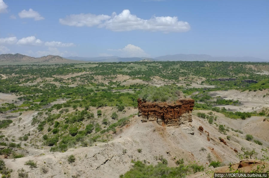 Олдувайское ущелье Нгоронгоро (заповедник в кратере вулкана), Танзания