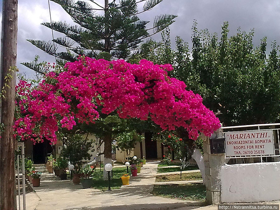 Апартаменты, Ласси