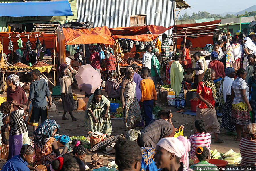 Джинка: земля ари, ворота к Омо Джинка, Эфиопия