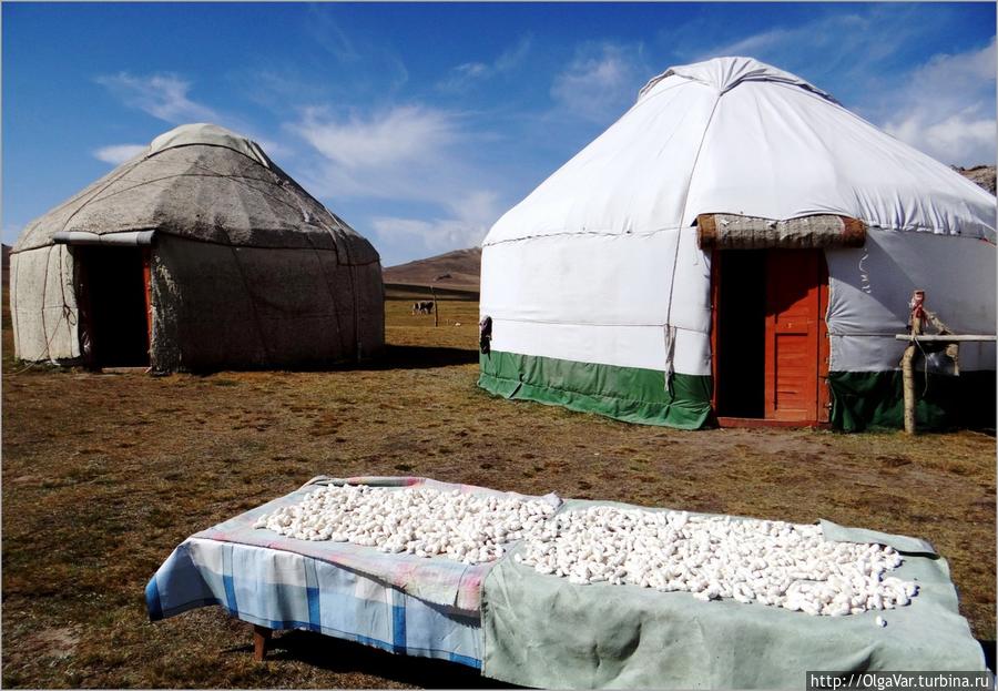 Гостевые юрты VIP-класса Озеро Сон-Куль, Киргизия