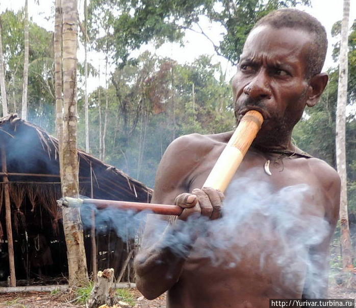 Курительная трубка папуасов Короваи Джайпура, Индонезия