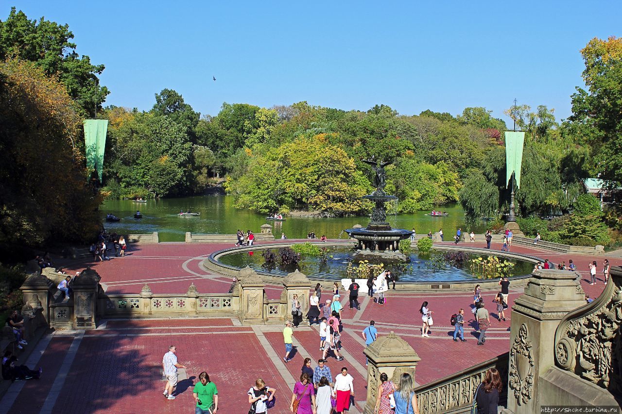 липовая аллея сокольники. Krakatau storm jaket q170. выбор парки. куртка парка мужская. природа парк.