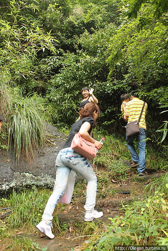 Вдоль утёсов, по полям чайным Уишань, Китай