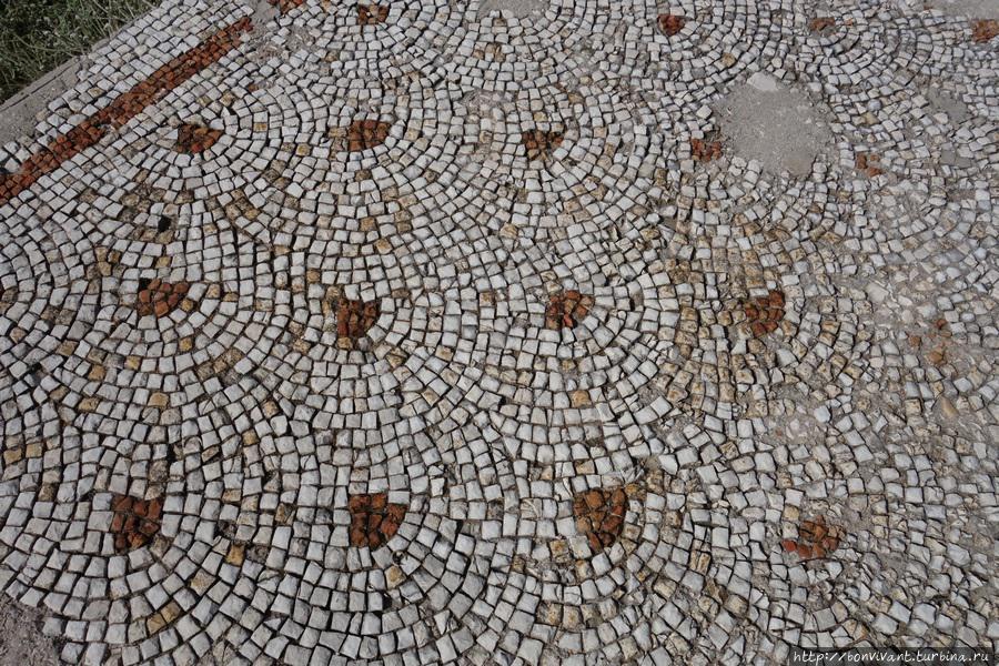 Мозаика в археологическом парке Тира Ливан