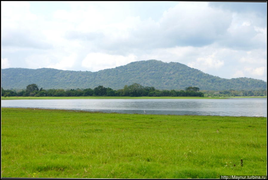 Вид  на  озеро  Минерия. Полоннарува, Шри-Ланка