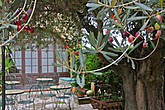 в летный теплый вечер, посидеть на этой террасе под оливковым деревом, одно удовольствие, запомнили место!