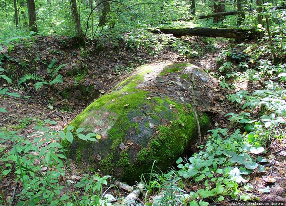 Краеведческий музей Лукоянов, Россия