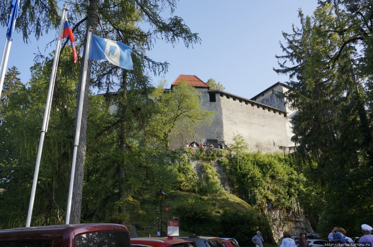 Бледский замок Блед, Словения